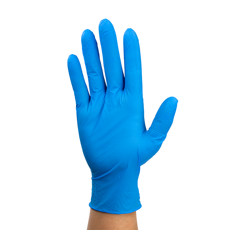 Dynarex Nitrile Exam Gloves In A Bag, Large, Powder-Free, Blue, 500/1pr/cs