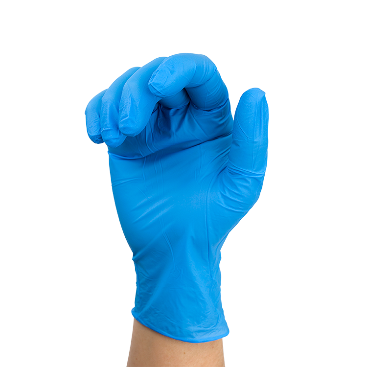 Dynarex Nitrile Exam Gloves In A Bag, Large, Powder-Free, Blue, 500/1pr/cs