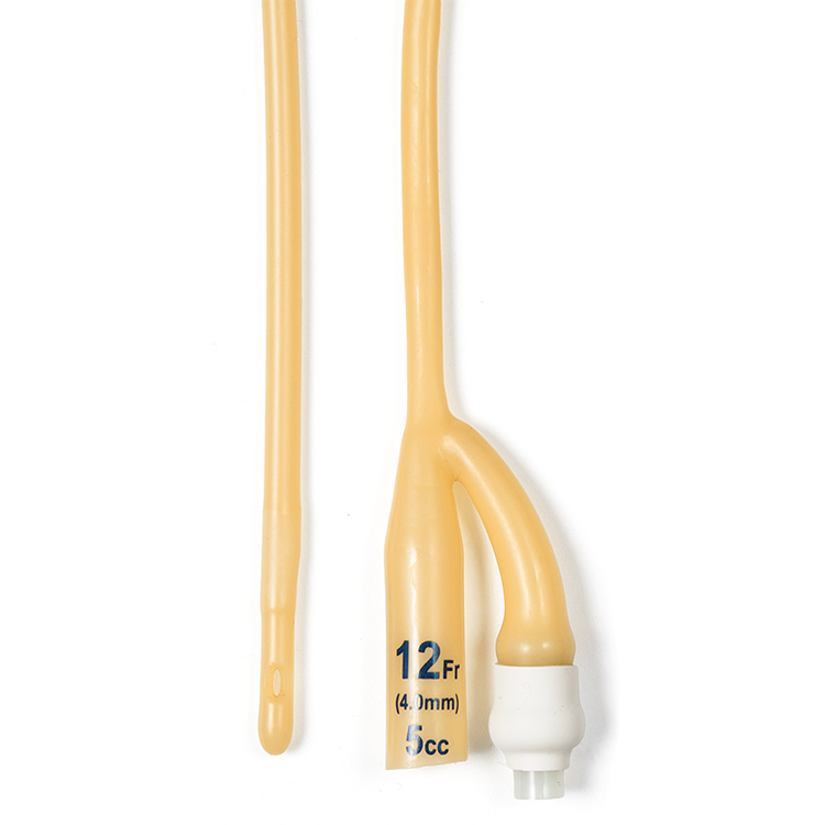 Dynarex Foley Catheters (10 Count)